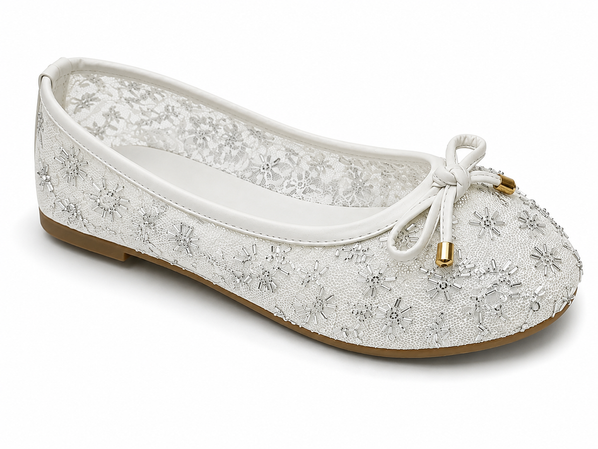 Elegant Lace Embroidered Women's Ballet Flats